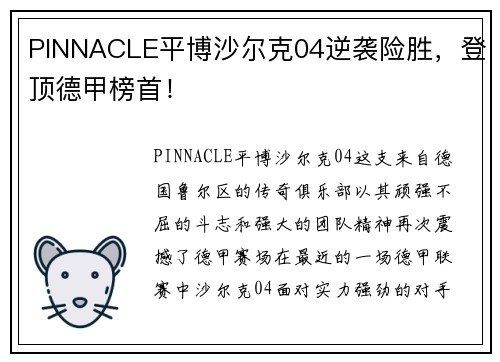 PINNACLE平博沙尔克04逆袭险胜，登顶德甲榜首！